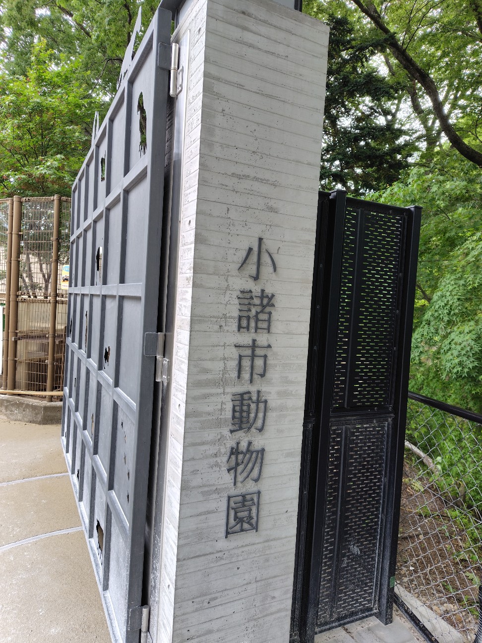 f:id:tatebayashihappy:20260614205644j:image