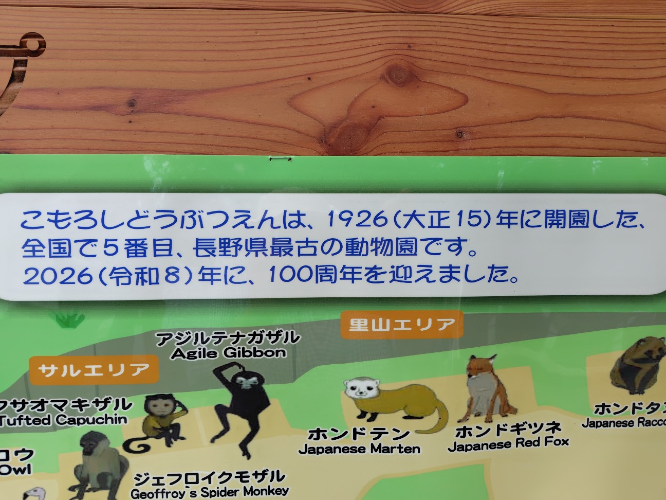 f:id:tatebayashihappy:20260614205645j:image
