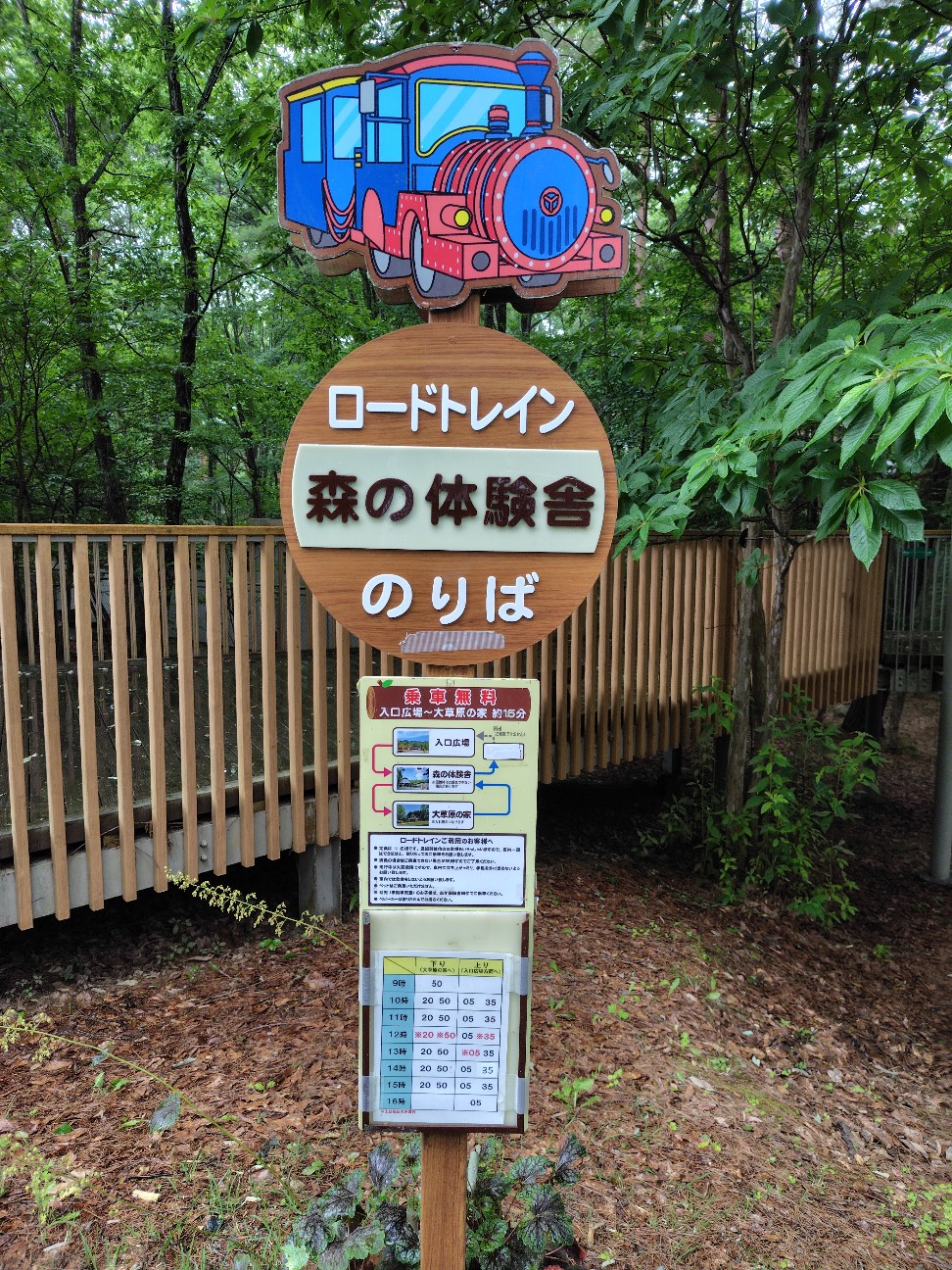 f:id:tatebayashihappy:20260620223432j:image