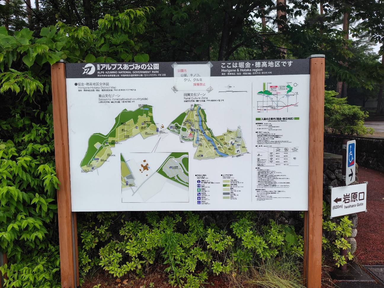 f:id:tatebayashihappy:20260620223530j:image