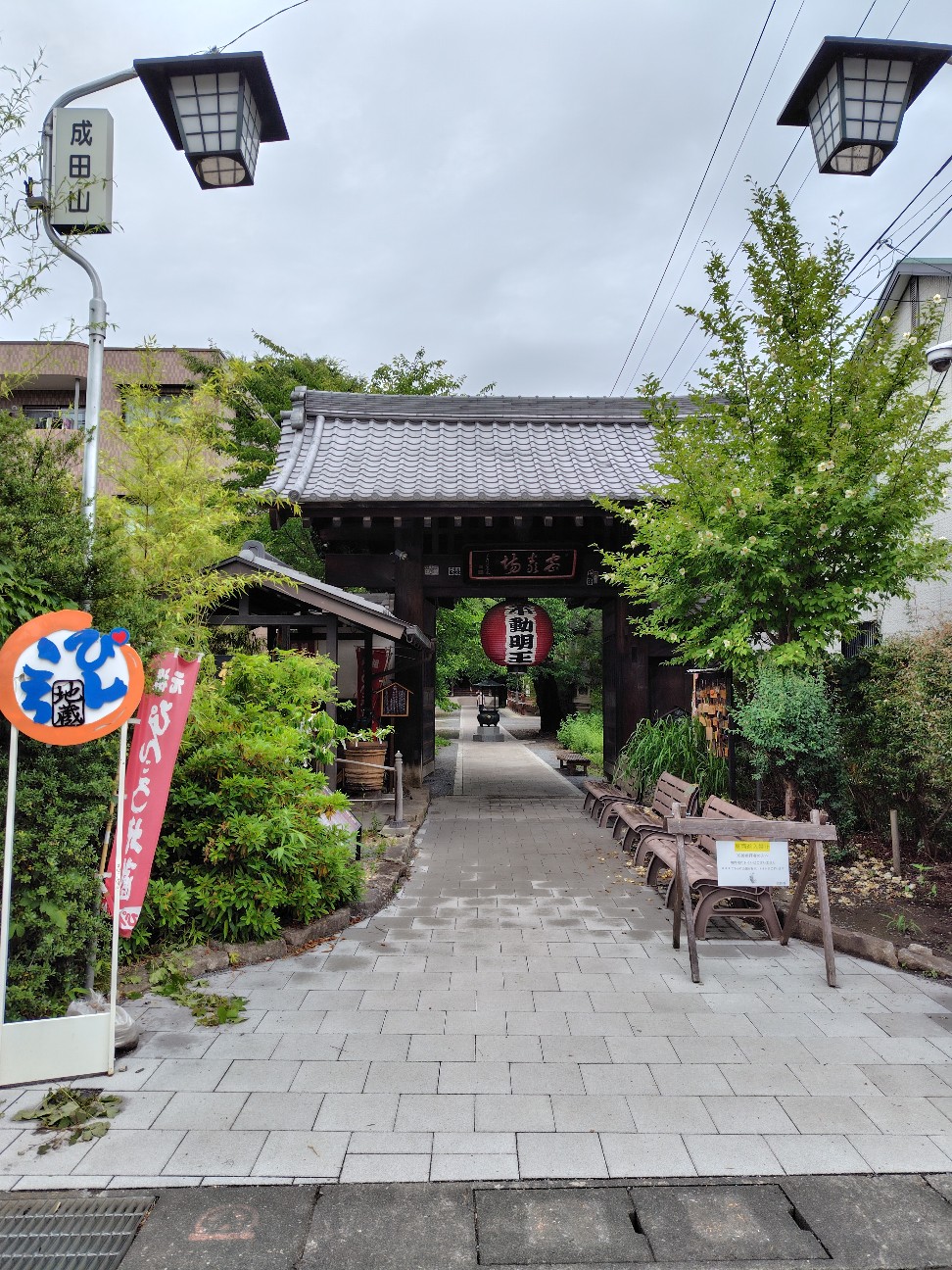 f:id:tatebayashihappy:20260629223728j:image