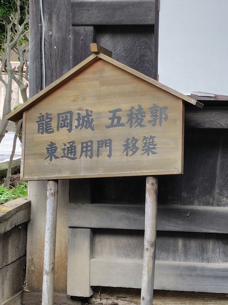 f:id:tatebayashihappy:20260629223735j:image
