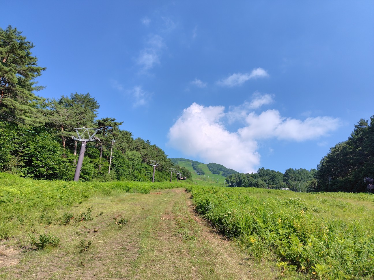 f:id:tatebayashihappy:20260710185045j:image f:id:tatebayashihappy:20260710185045j:image