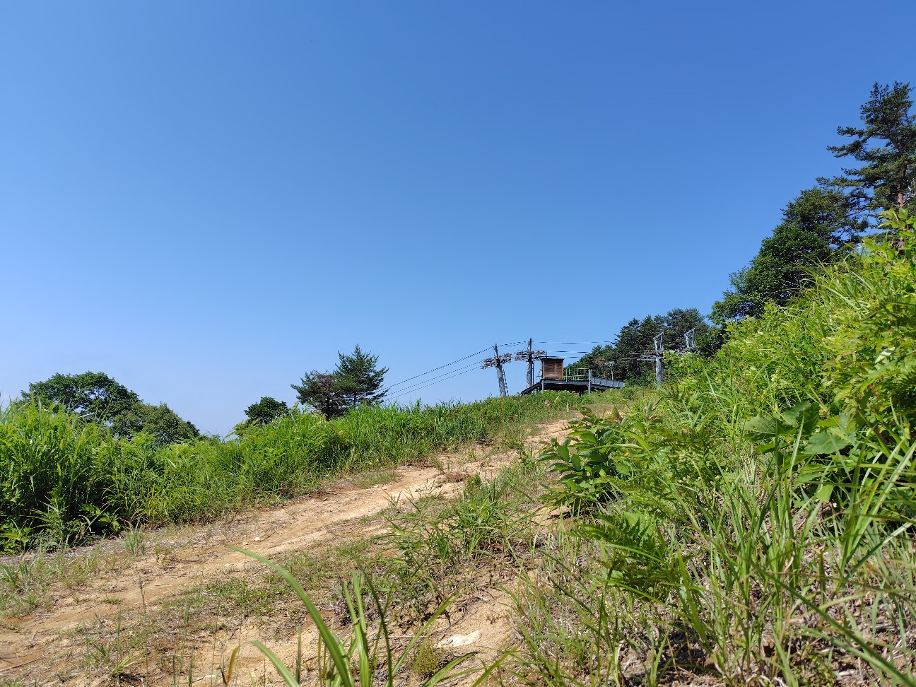 f:id:tatebayashihappy:20260710185109j:image f:id:tatebayashihappy:20260710185109j:image