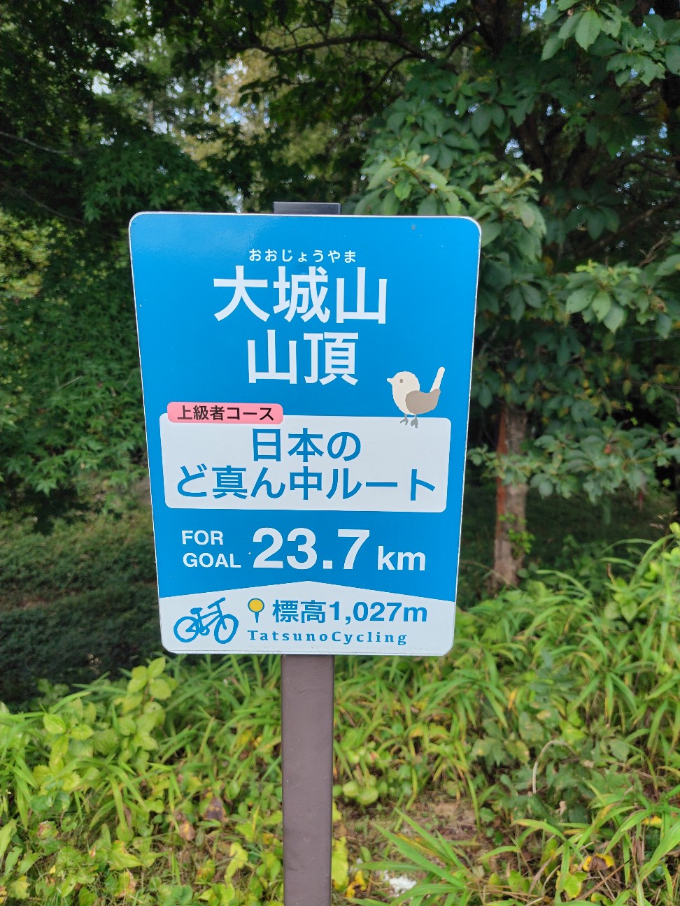 f:id:tatebayashihappy:20261020223458j:image f:id:tatebayashihappy:20261020223458j:image