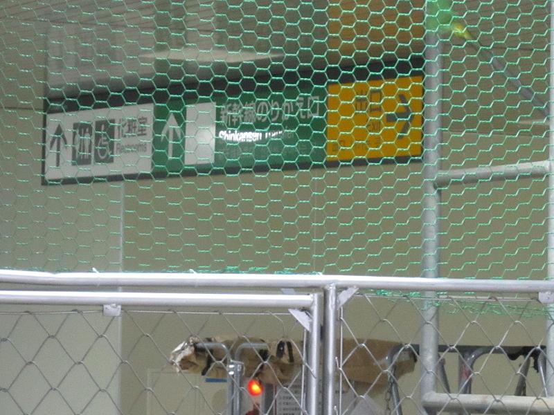 イメージ 14