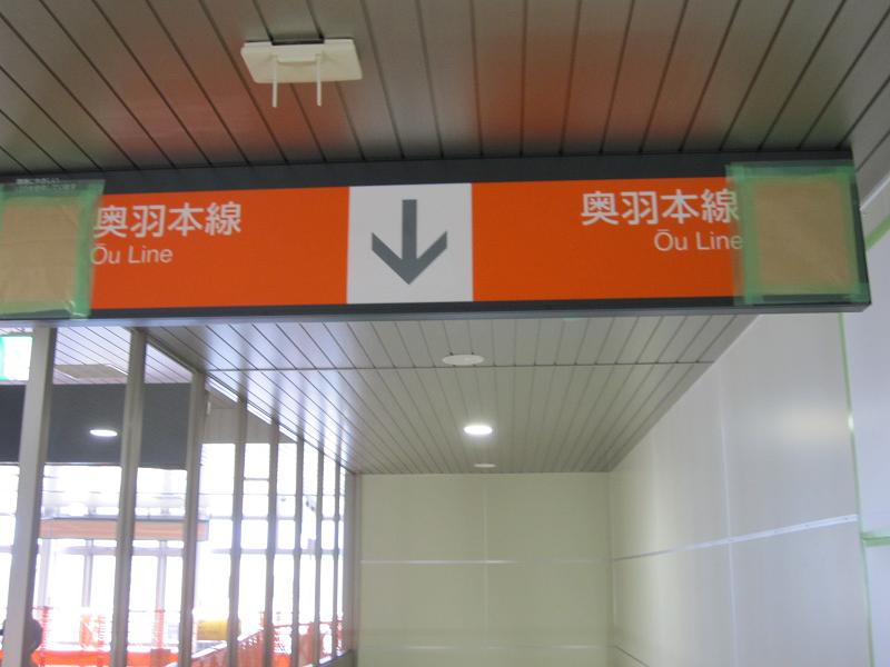イメージ 15