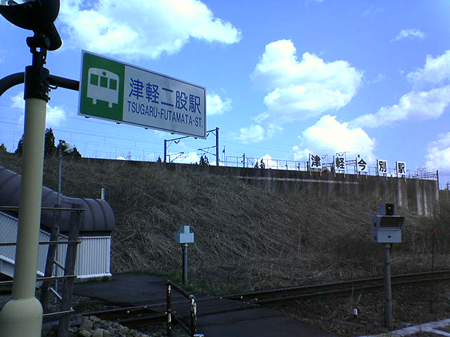 イメージ 5
