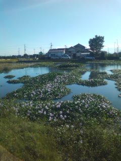 イメージ 15