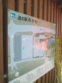 イメージ 7