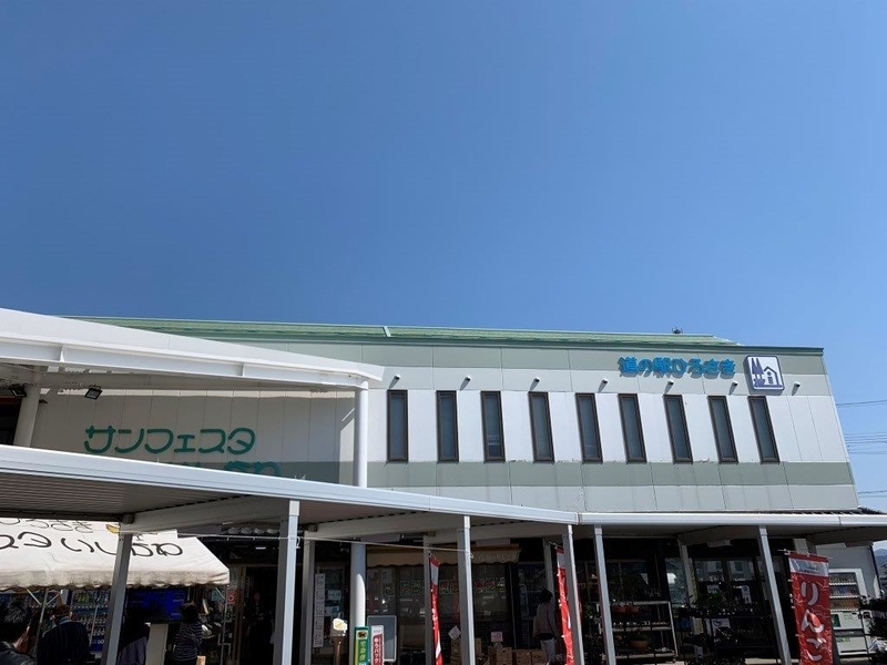 イメージ 13