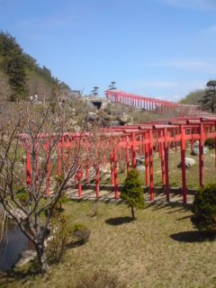 イメージ 3