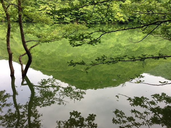 イメージ 3