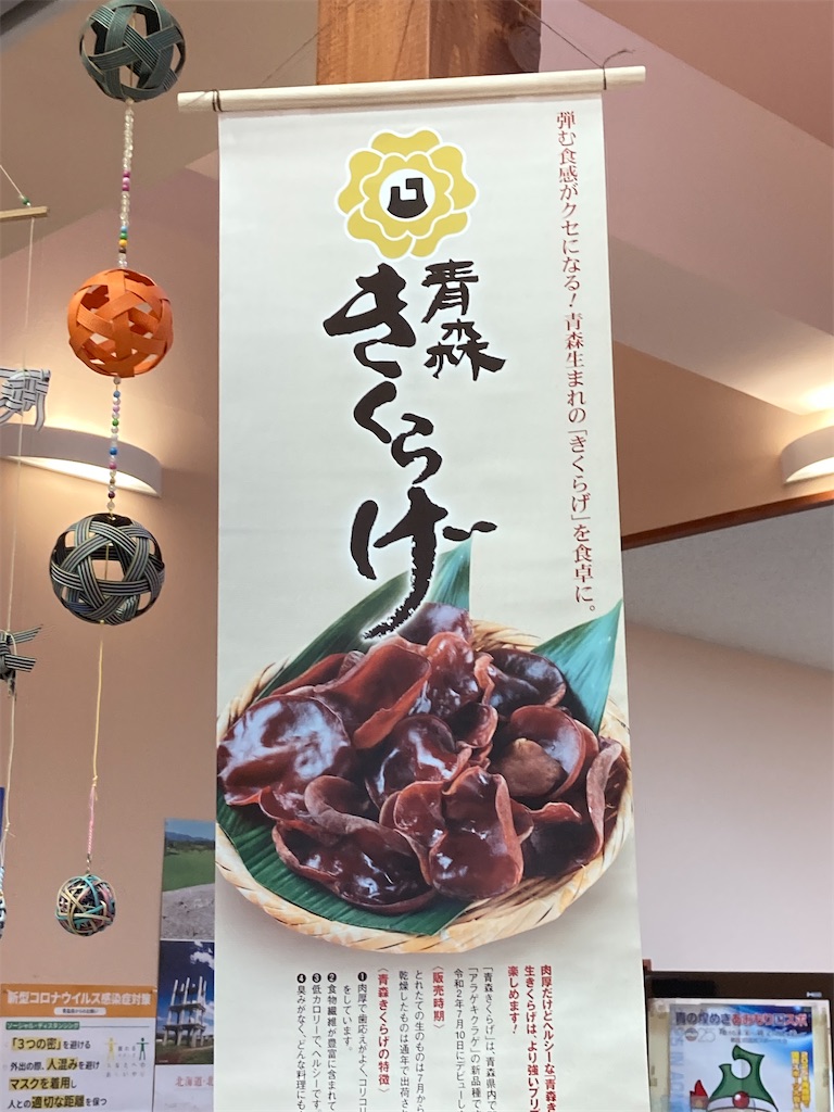 f:id:tateisu19:20200729204352j:image