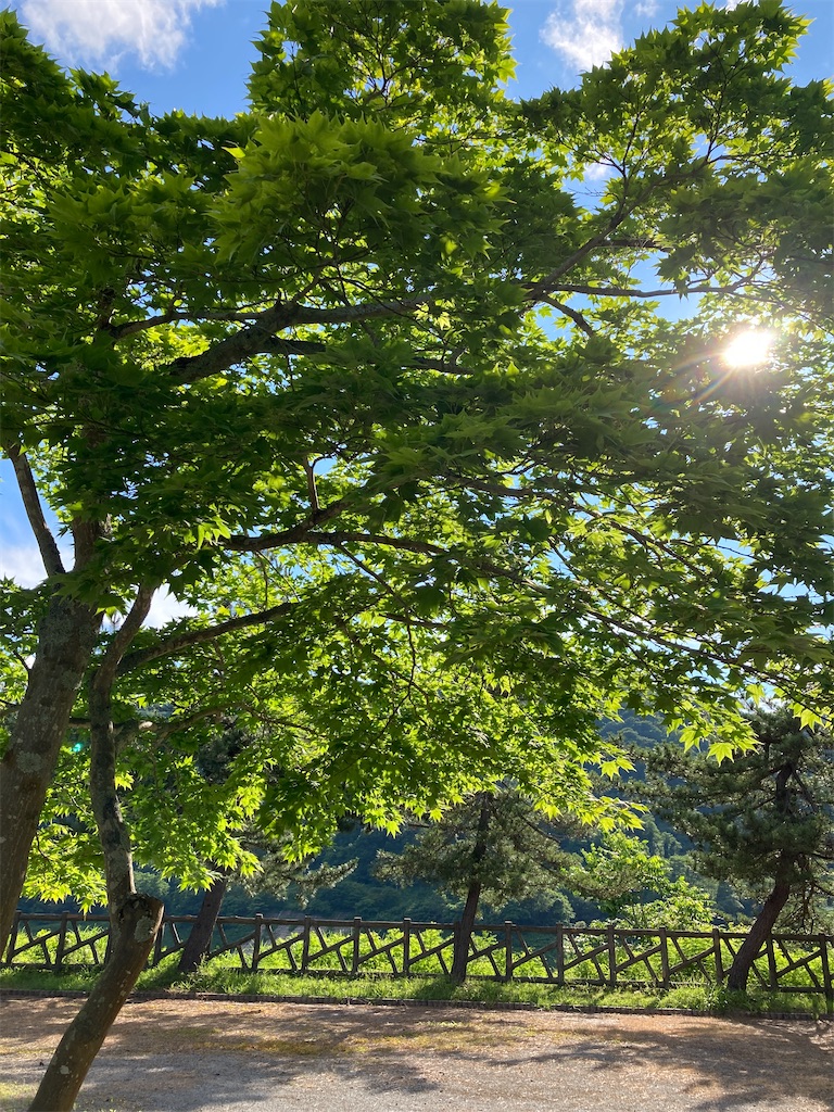 f:id:tateisu19:20200730085823j:image