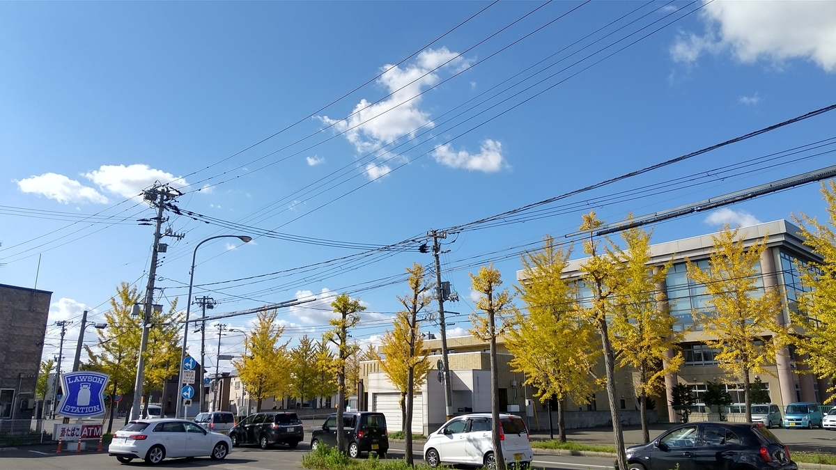 f:id:tateisu19:20201020145309j:plain