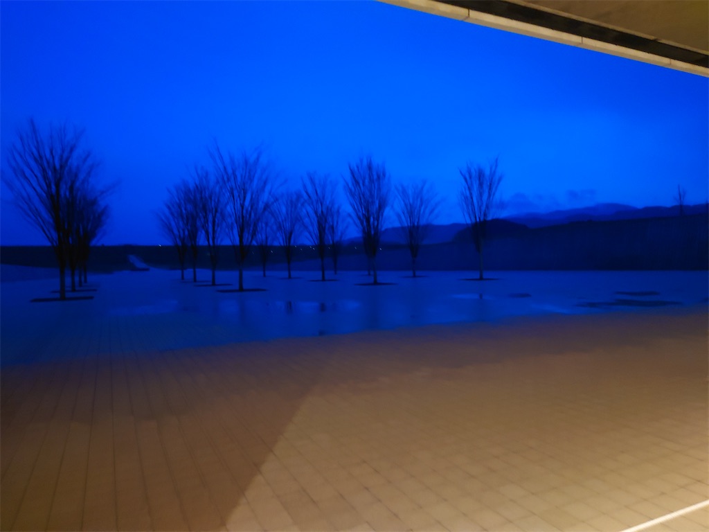 f:id:tateisu19:20210317165233j:image f:id:tateisu19:20210317165233j:image