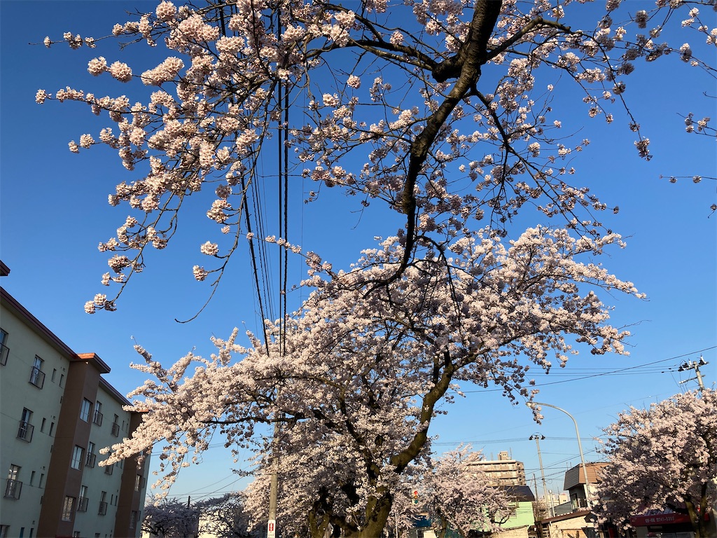 f:id:tateisu19:20210424104046j:image