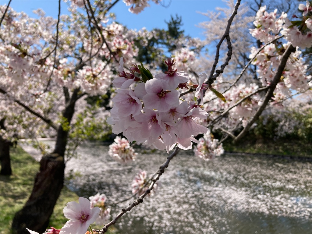f:id:tateisu19:20210424104245j:image