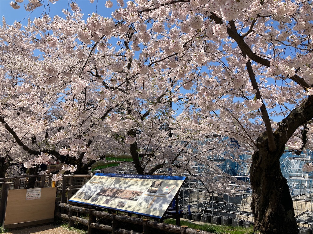 f:id:tateisu19:20210424104249j:image
