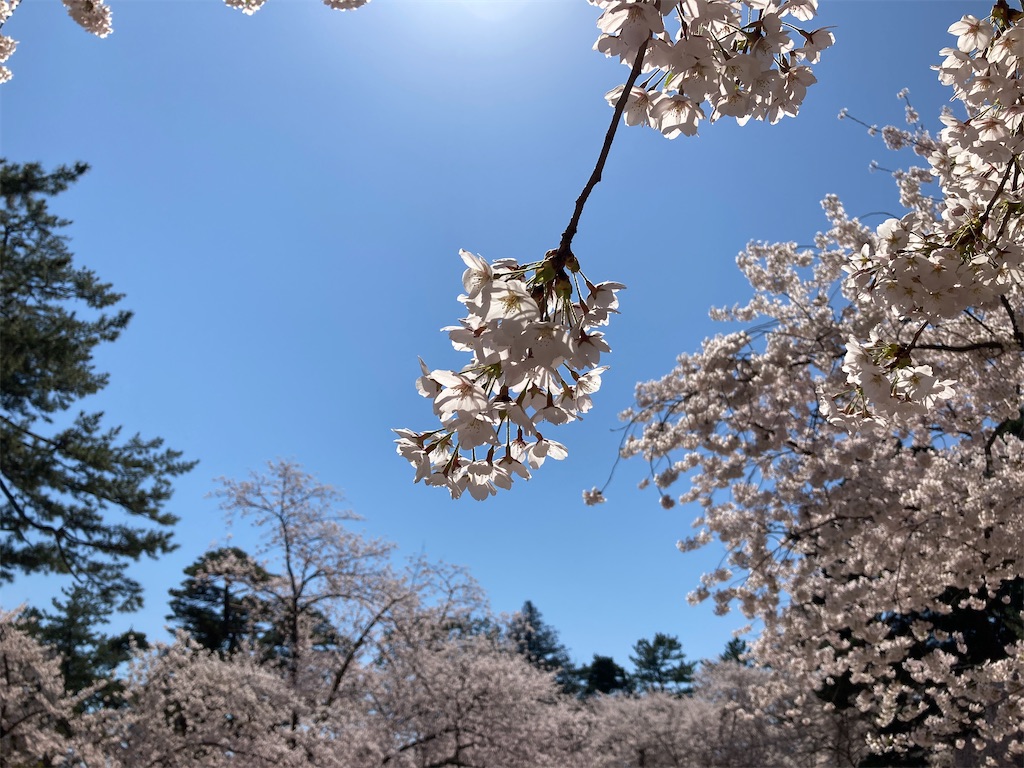 f:id:tateisu19:20210424104300j:image