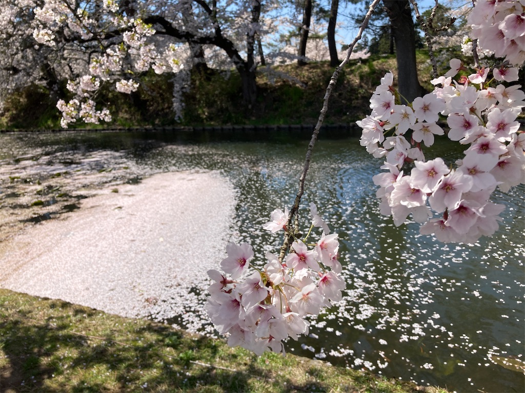 f:id:tateisu19:20210424104304j:image