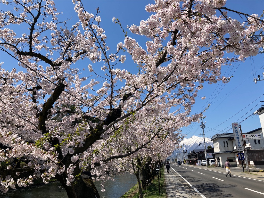 f:id:tateisu19:20210424104332j:image
