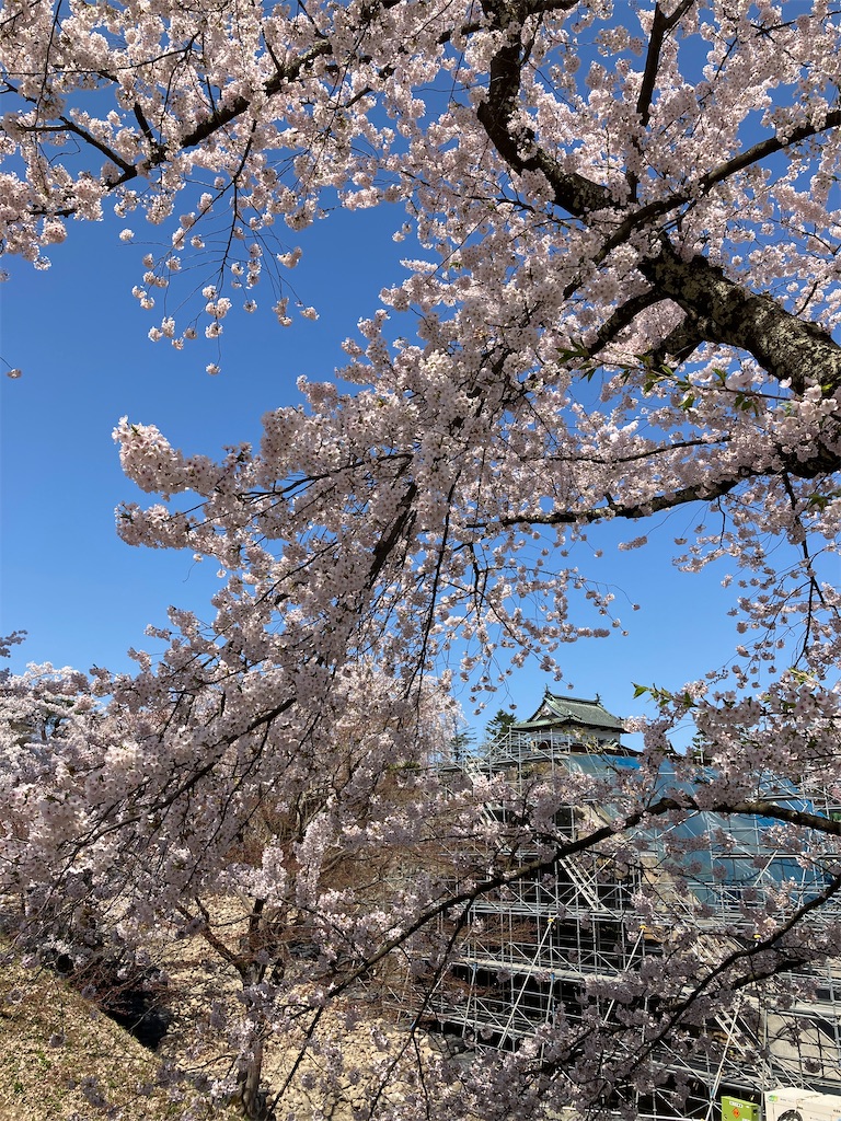 f:id:tateisu19:20210424104346j:image