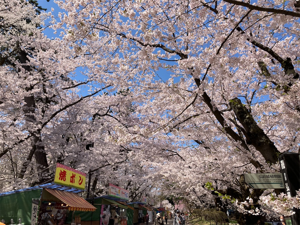f:id:tateisu19:20210424104349j:image