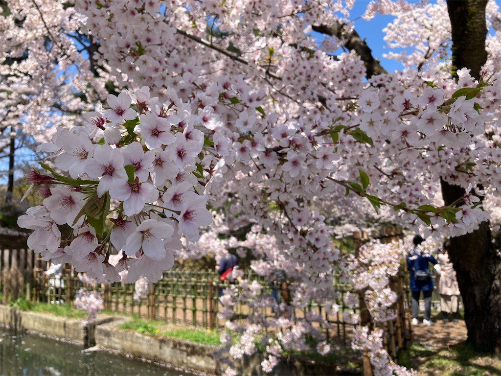 f:id:tateisu19:20210424104440j:image