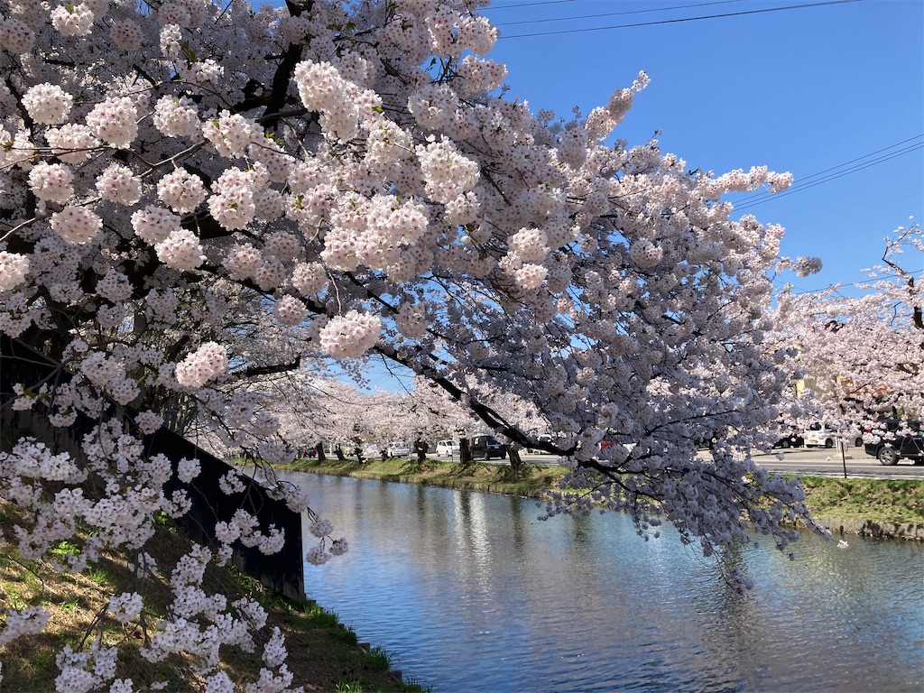 f:id:tateisu19:20210424104504j:image