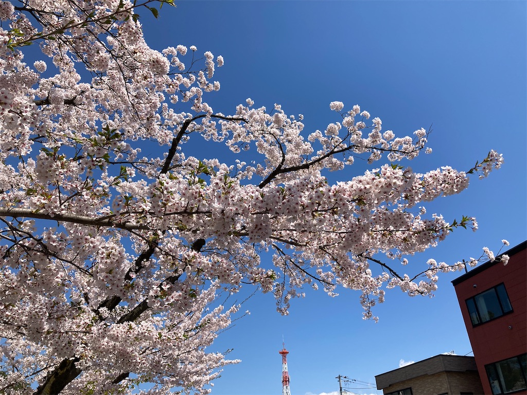 f:id:tateisu19:20210424104508j:image