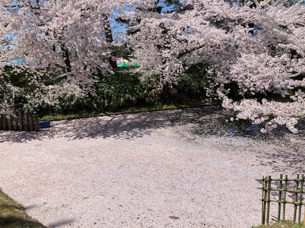 f:id:tateisu19:20210424104511j:image