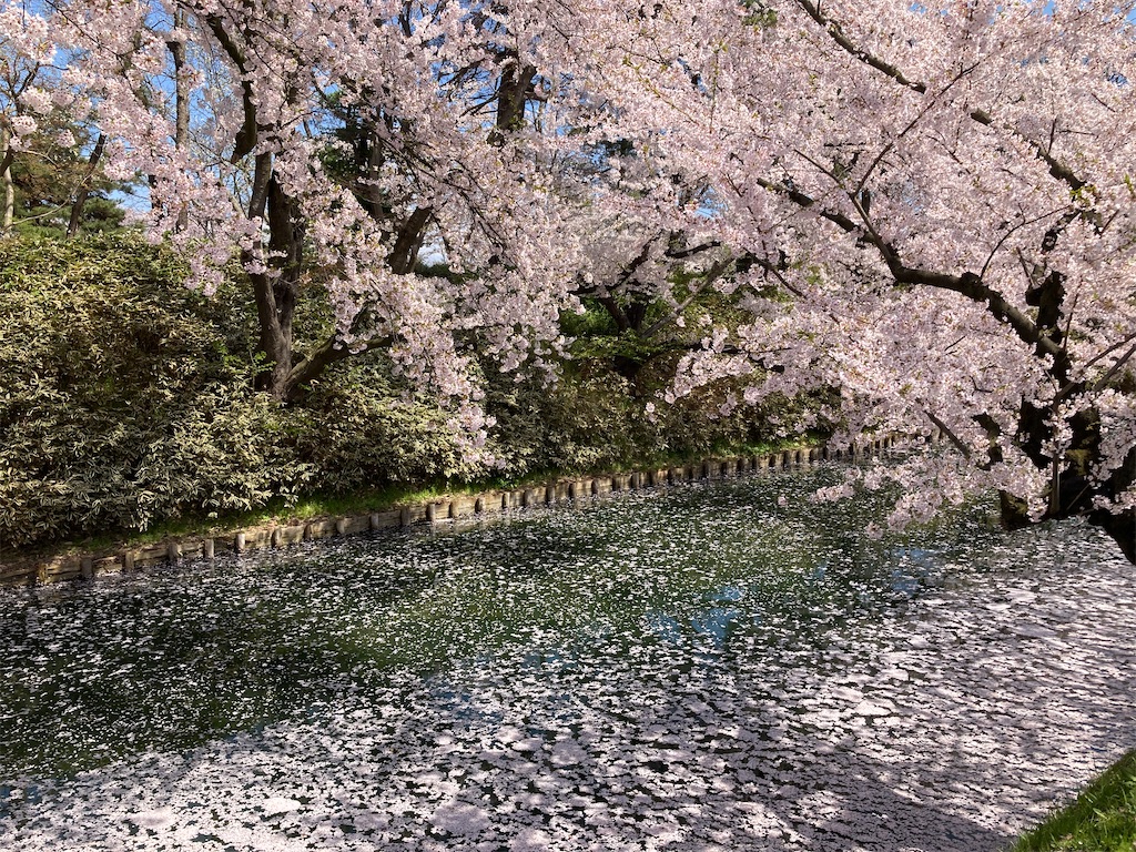 f:id:tateisu19:20210424104514j:image