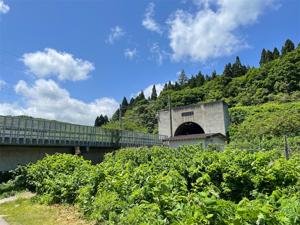 f:id:tateisu19:20210531060902j:image f:id:tateisu19:20210531060902j:image