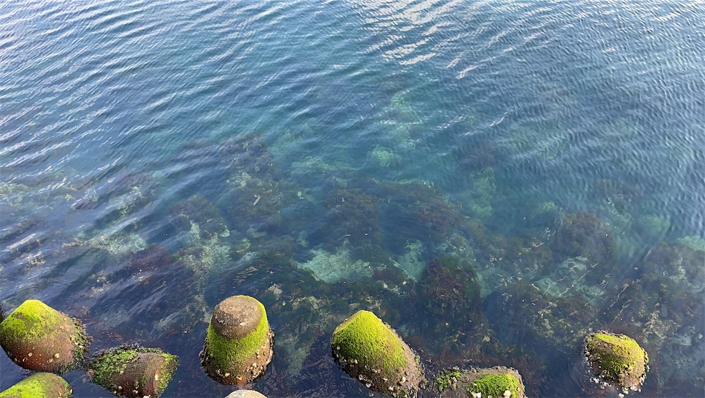 f:id:tateisu19:20210609133509j:image