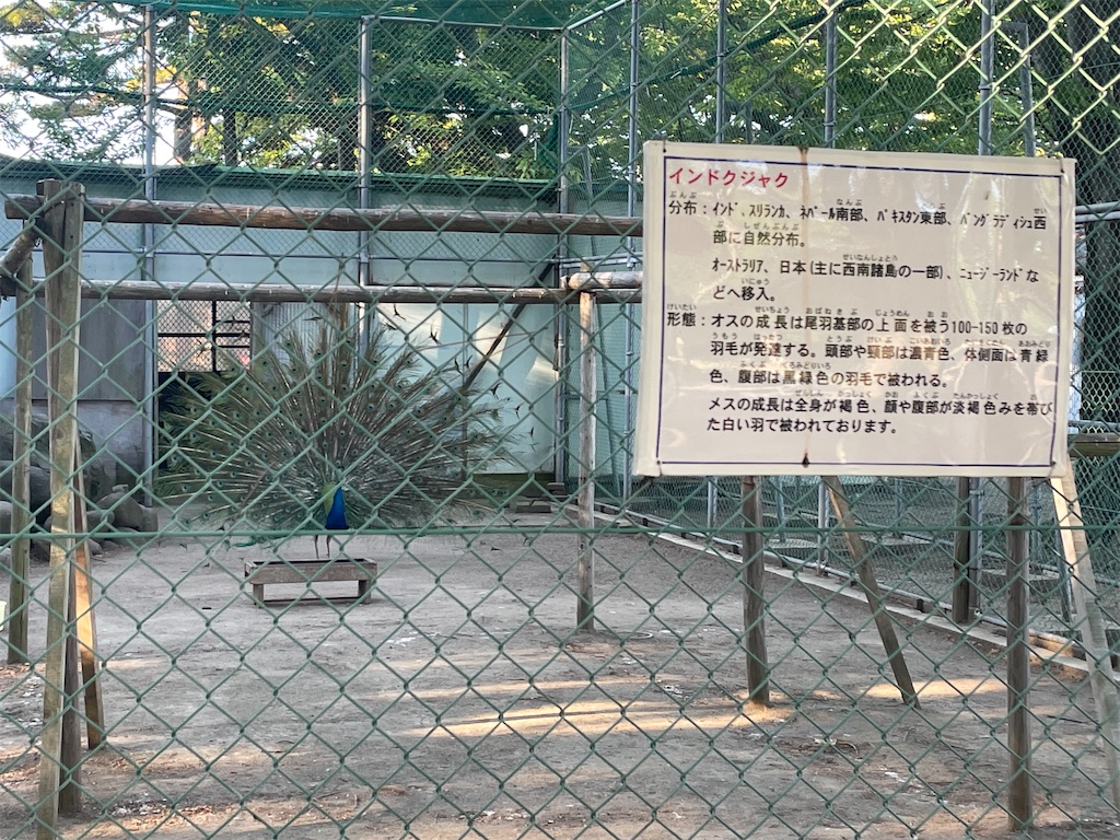 f:id:tateisu19:20210622122846j:image