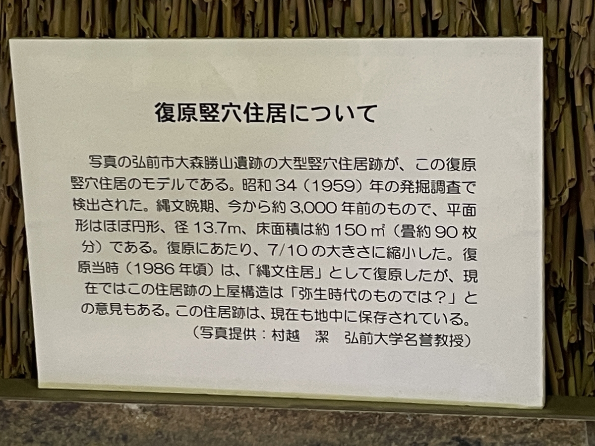 f:id:tateisu19:20210702192951j:plain