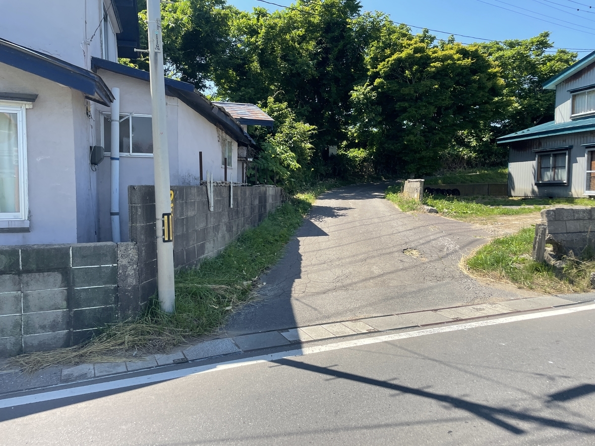 f:id:tateisu19:20210702203047j:plain