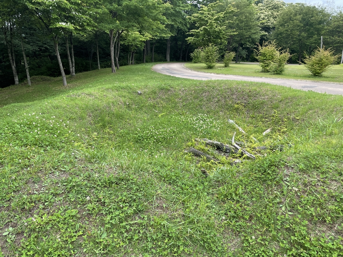 f:id:tateisu19:20210705101828j:plain