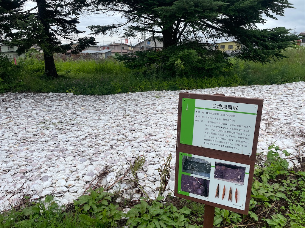 f:id:tateisu19:20210716223856j:image