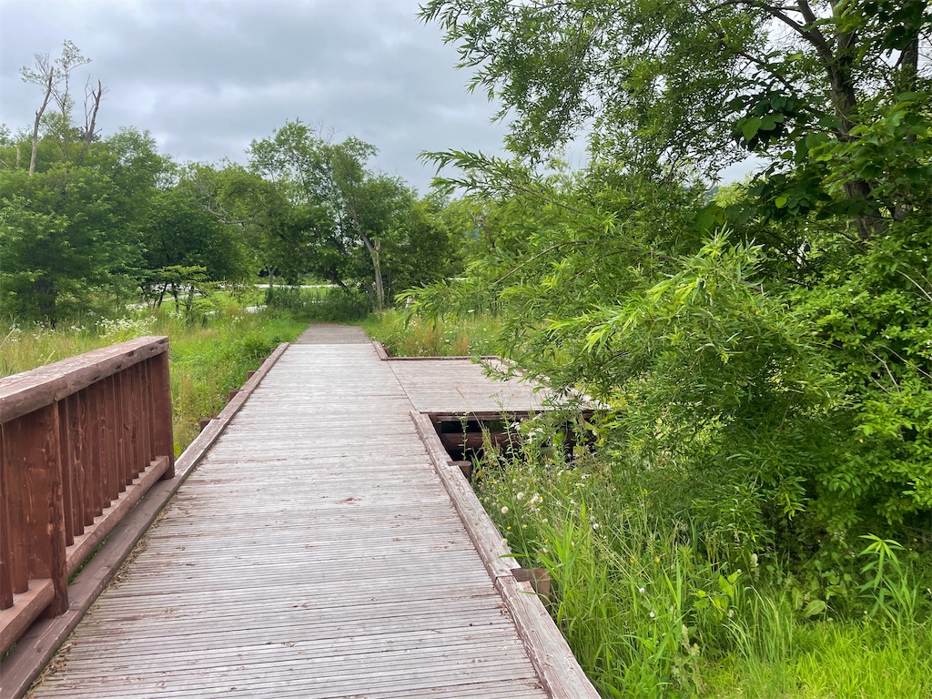 f:id:tateisu19:20210716223903j:image