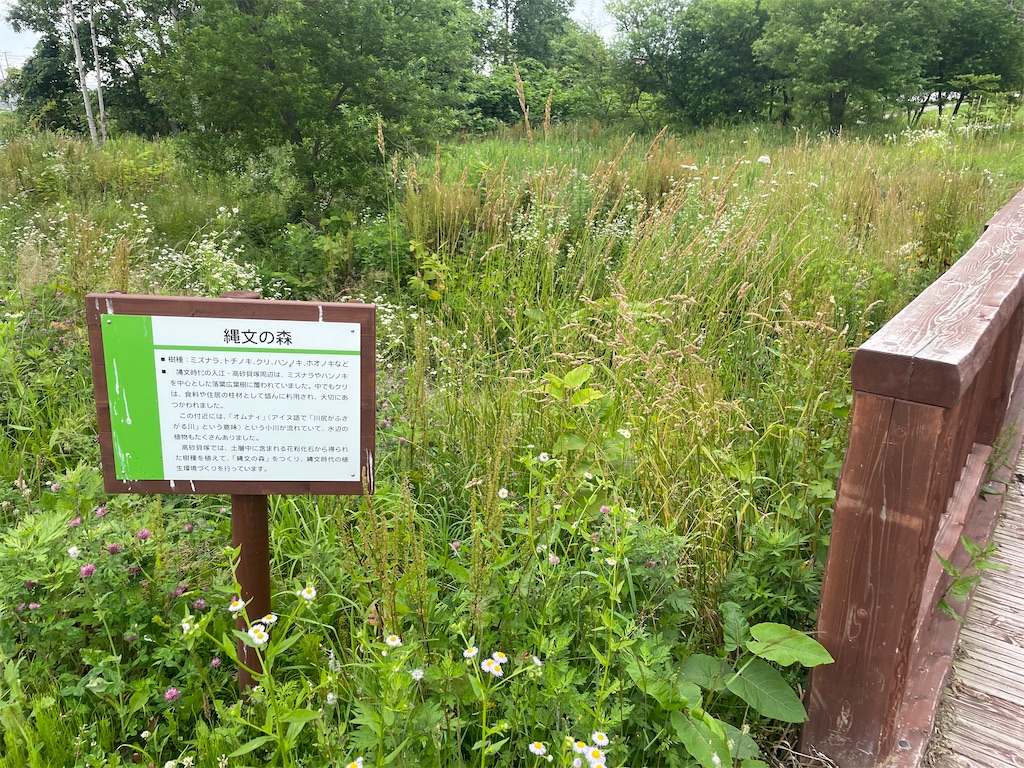 f:id:tateisu19:20210716223954j:image