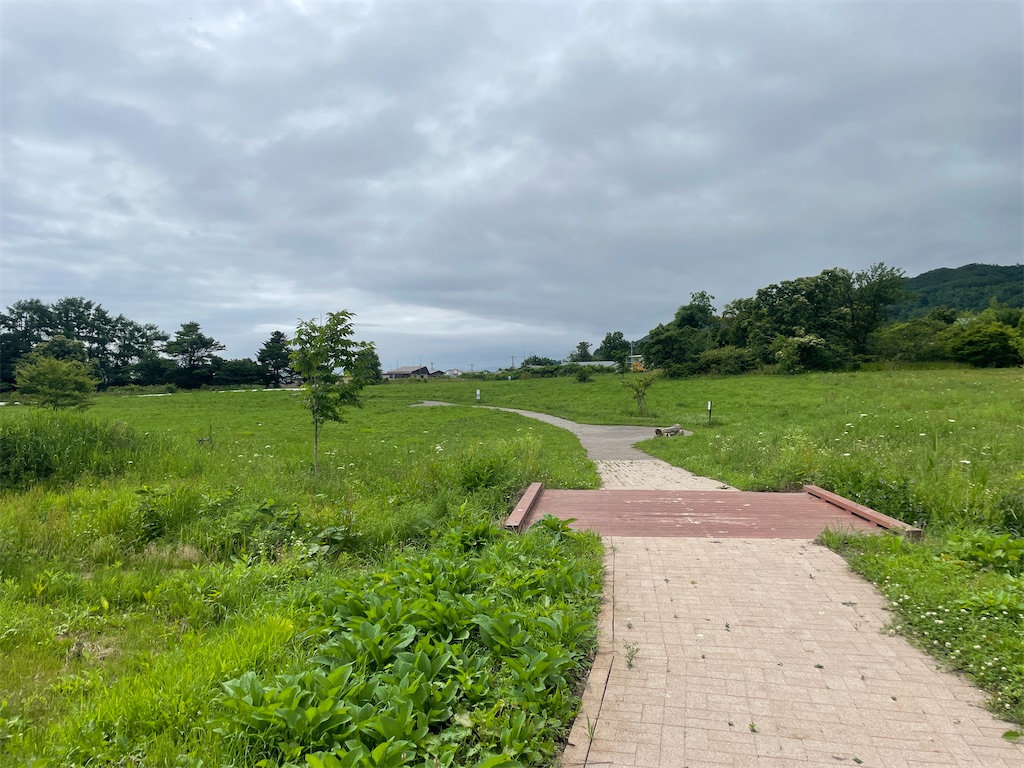 f:id:tateisu19:20210716223958j:image