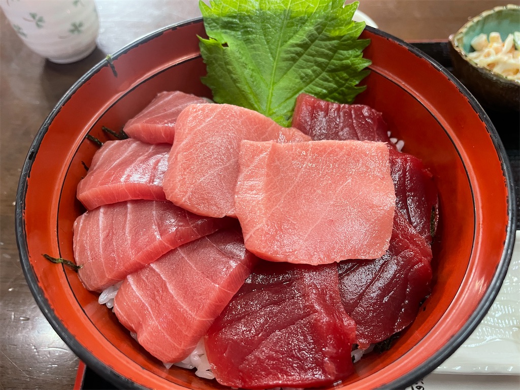 f:id:tateisu19:20211128210812j:image