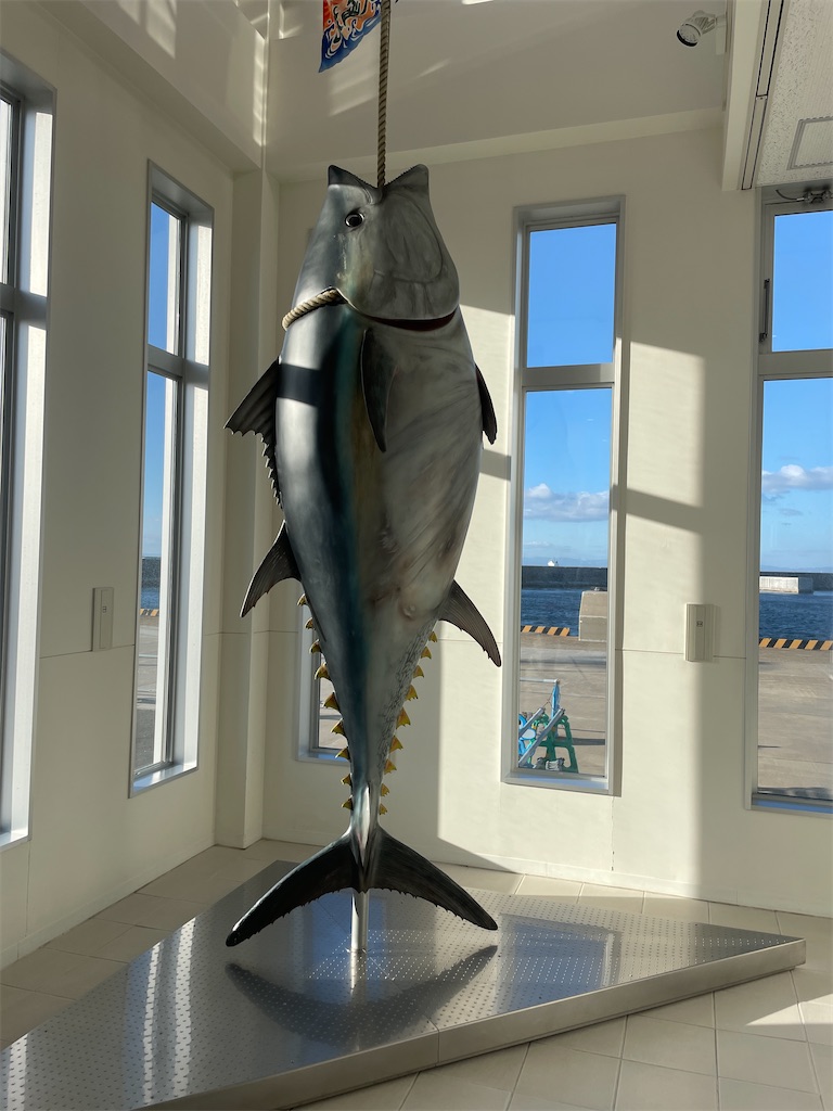 f:id:tateisu19:20211128211002j:image