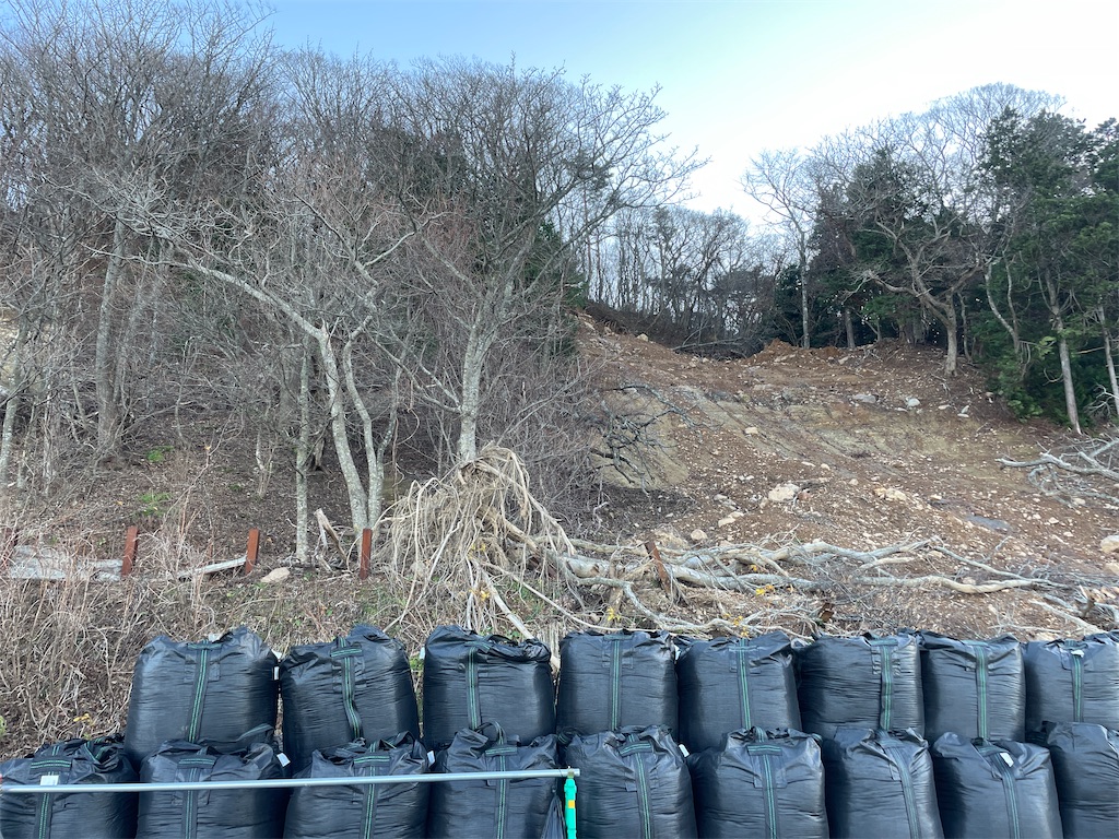 f:id:tateisu19:20211128211133j:image