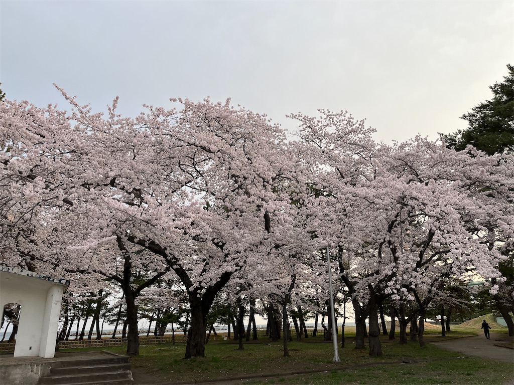 f:id:tateisu19:20220426204204j:image