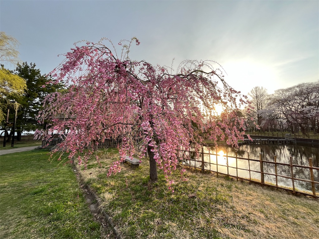 f:id:tateisu19:20220426204208j:image