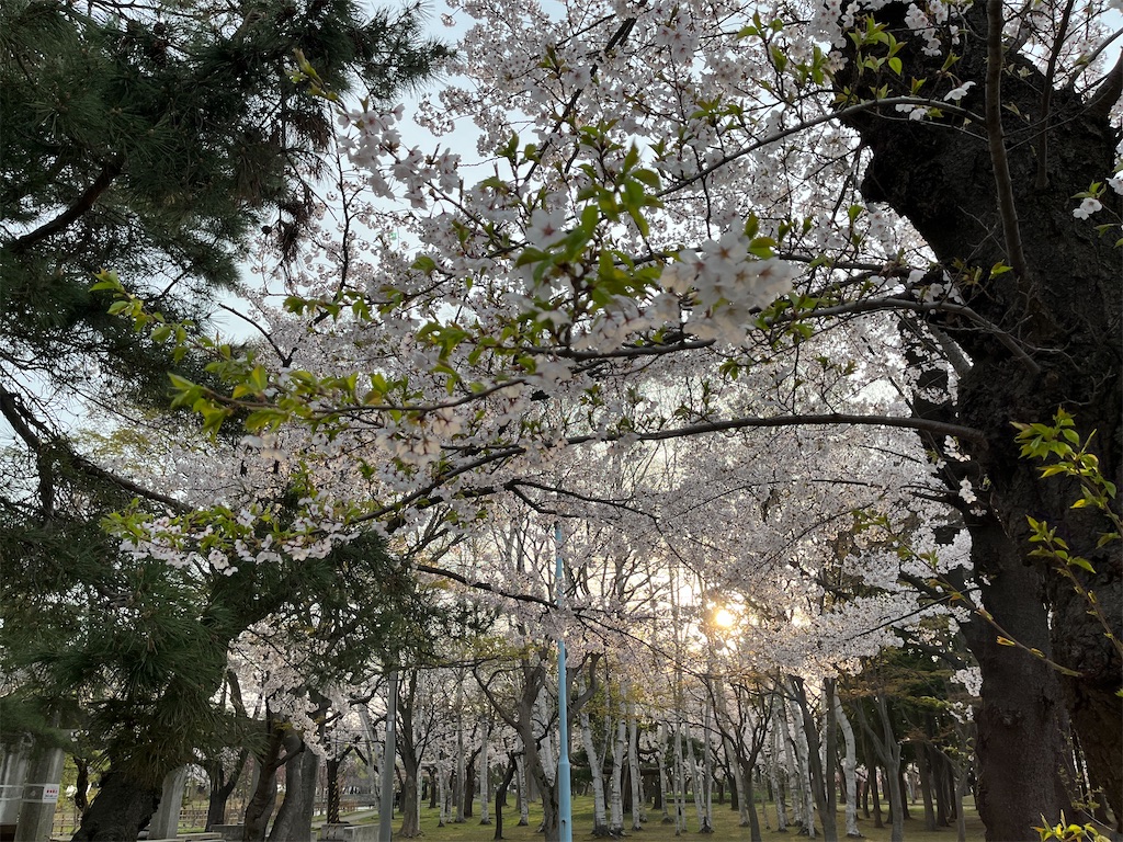 f:id:tateisu19:20220426204218j:image